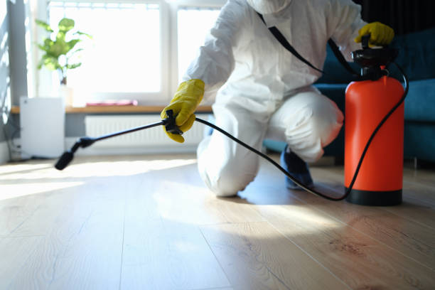 Reliable Odor Removal contractor in Hope, AR by Trauma Clean Pros